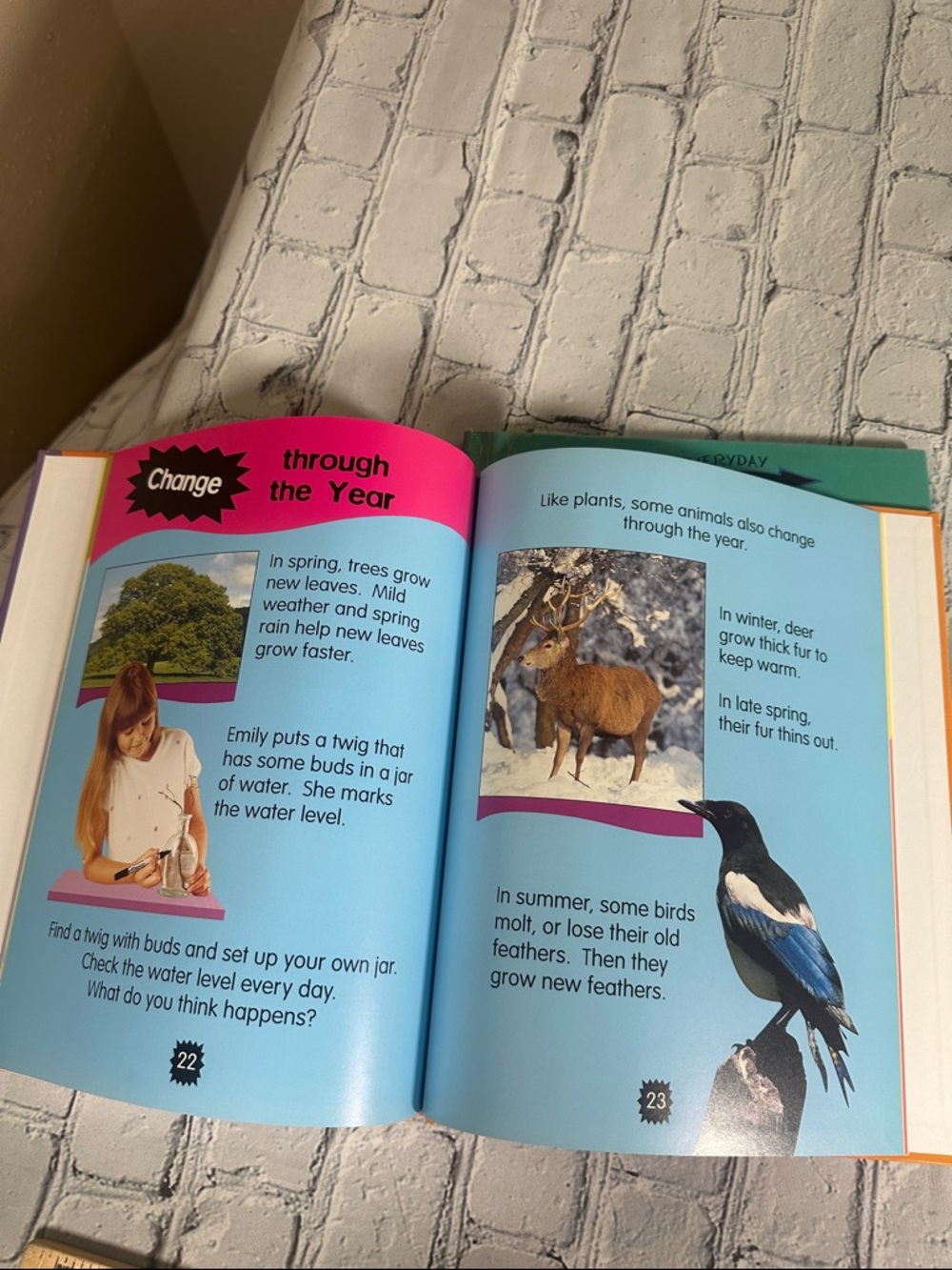 Everyday Science Series: by Peter Riley Science books for kids age 4-8 -7 Books - Picture 12 of 15